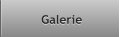 Galerie Galerie
