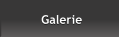 Galerie Galerie