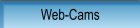 Web-Cams