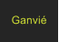 Ganvi