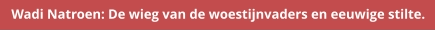 Wadi Natroen: De wieg van de woestijnvaders en eeuwige stilte.