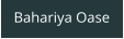Bahariya Oase