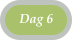 Dag 6