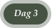 Dag 3