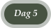 Dag 5