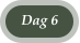 Dag 6