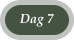 Dag 7