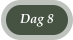 Dag 8