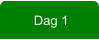 Dag 1