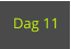Dag 11