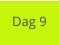 Dag 9