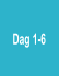 Dag 1-6