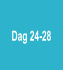 Dag 24-28